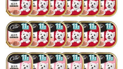 시져시니어 할인 꿀팁🍯 시니어견 건강하게! 솔직 후기
