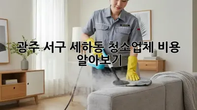 광주 서구 세하동 청소업체 비용 알아보기