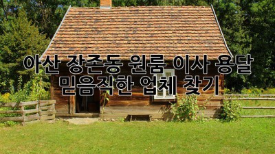 아산 장존동 원룸 이사 용달, 믿음직한 업체 찾기